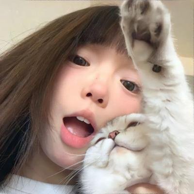 白鸟：奇迹